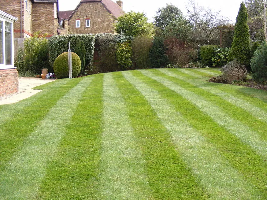 Professional landscaping in Milton Keynes